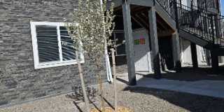 1619 Grand Harmony Boulevard - 102 Gallery 1