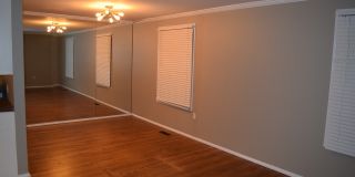 Call or Text Chad @ 501 231-7612  for more information. Gallery 6