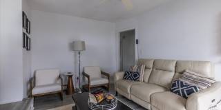 56 Linden Street Gallery 11