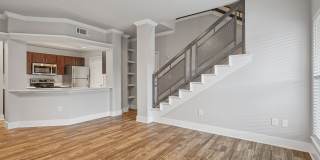 Carrara at Cole Gallery 38