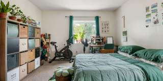 2 Larose Pl Gallery 11