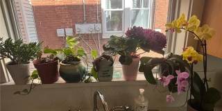 2248 Birch Street Gallery 13