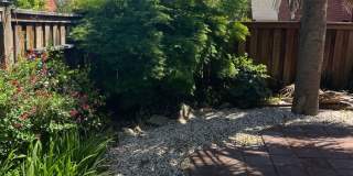 829 Ruffin Street Gallery 16