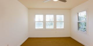 2212 Tom Miller Street 2212 Tom Miller Street Gallery 19