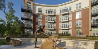 The Belvedere at Springwoods Village Gallery 30