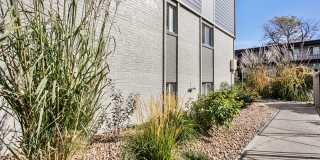 Park at Fitzsimons Gallery 42