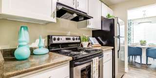 Alder Bellevue Gallery 5