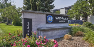 Elm at Panorama Gallery 22