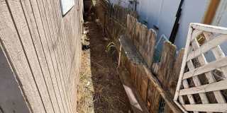 Private Detached House with Fenced Yard and Large Covered Carport Gallery 8