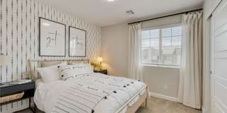 911 Cadence View Way Gallery 11
