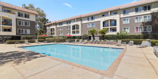 Northpark Gallery 41