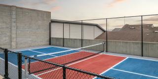 Auxo at Memorial Gallery 22