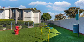 Portofino Gallery 37