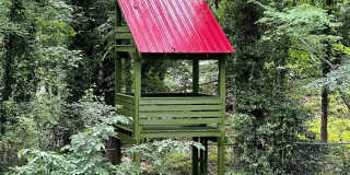 Welcome Home to 4316 Brookwood Rd, Charlotte, NC 28215 Gallery 7