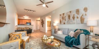 Olympus at Daybreak Gallery 14