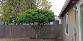 Beautiful Property is Available! Gallery 21