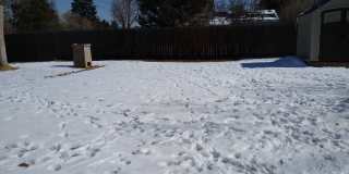 University Hills  Adorable 2 Bed 1 Bath Home with HUGE Fenced Yard, Central Air/Heat, Garage and Storage Shed!! Gallery 57