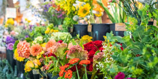 202 Queen Gallery 38