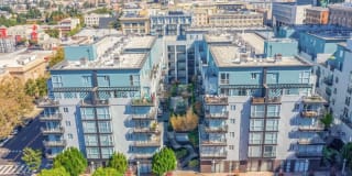 Domain Oakland Gallery 36