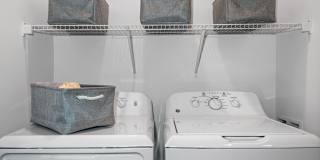 Primrose at Santa Rosa Beach Gallery 36