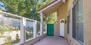 75 Cinnamon Teal Gallery 1