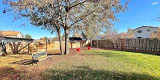 Beautifully updated 3 bedroom 2 bath home in Greeley! Gallery 30