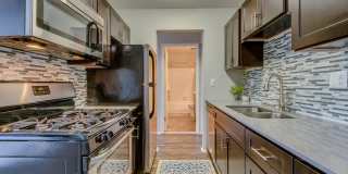 Spice Tree Gallery 7