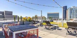 Zig Apartments Gallery 31