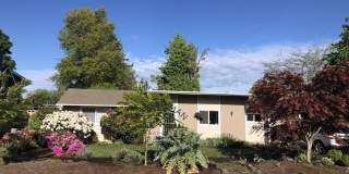 Beautiful 3 Bedroom 1 Bathroom Home! Gallery 1