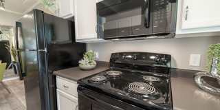 Sonoma Ridge Gallery 10