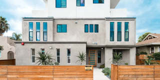 Hamilton Hamilton Gallery 1