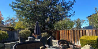 3253 Pomace Court Gallery 11