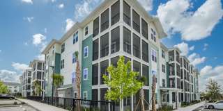 J. Ardin at Apopka Gallery 59