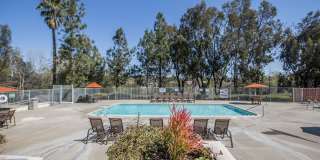 Reidy Creek Apartments Gallery 5