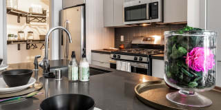 Elysian at The Palms Gallery 1