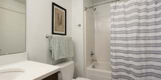 The Dahlia Gallery 5