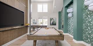 Palm Grove Gallery 56