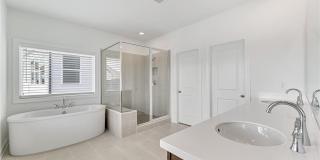 1066 Winding Branch Drive Gallery 24