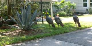4 Gentle Ben Path Gallery 28