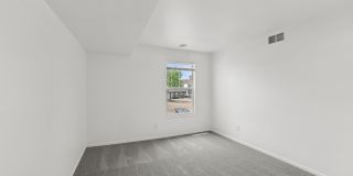 ReNew Woodland North and South Gallery 8