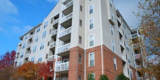 Rosslyn Heights Gallery 88