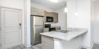 RIZE at Winter Springs Gallery 78