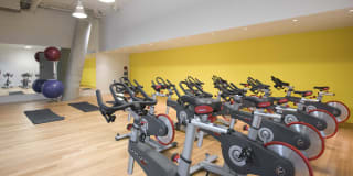 170 Amsterdam 170 Amsterdam Gallery 40