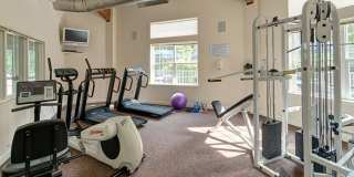 Carriage Club at Mt Arlington Gallery 14