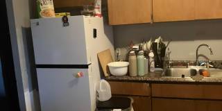 4214 W Lewis Avenue Gallery 7