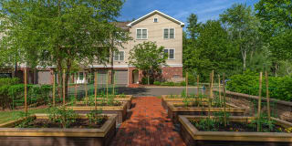 Mill Commons Gallery 15