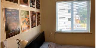 University Court Apartments Gallery 60