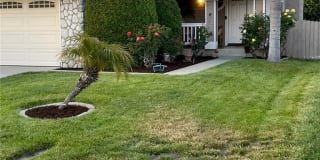 23708 Cork Oak Circle Gallery 1