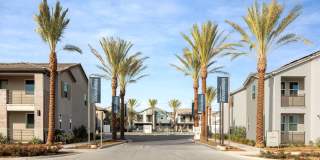 Independence at The Preserve Gallery 53