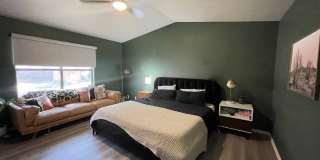 29608 TERRA VIS Gallery 10